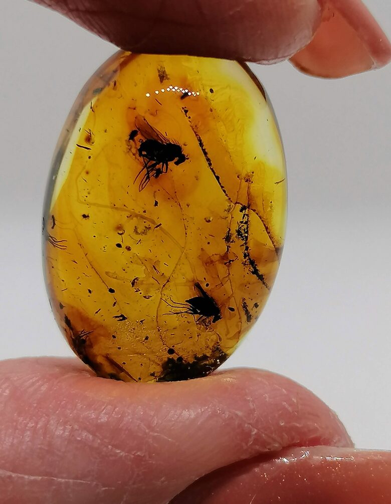 Baltic Amber Cabochon with Inclusion | Natural Amber for Jewelry
